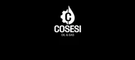 Logotipo de Cosesi