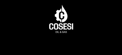 Logotipo de Cosesi