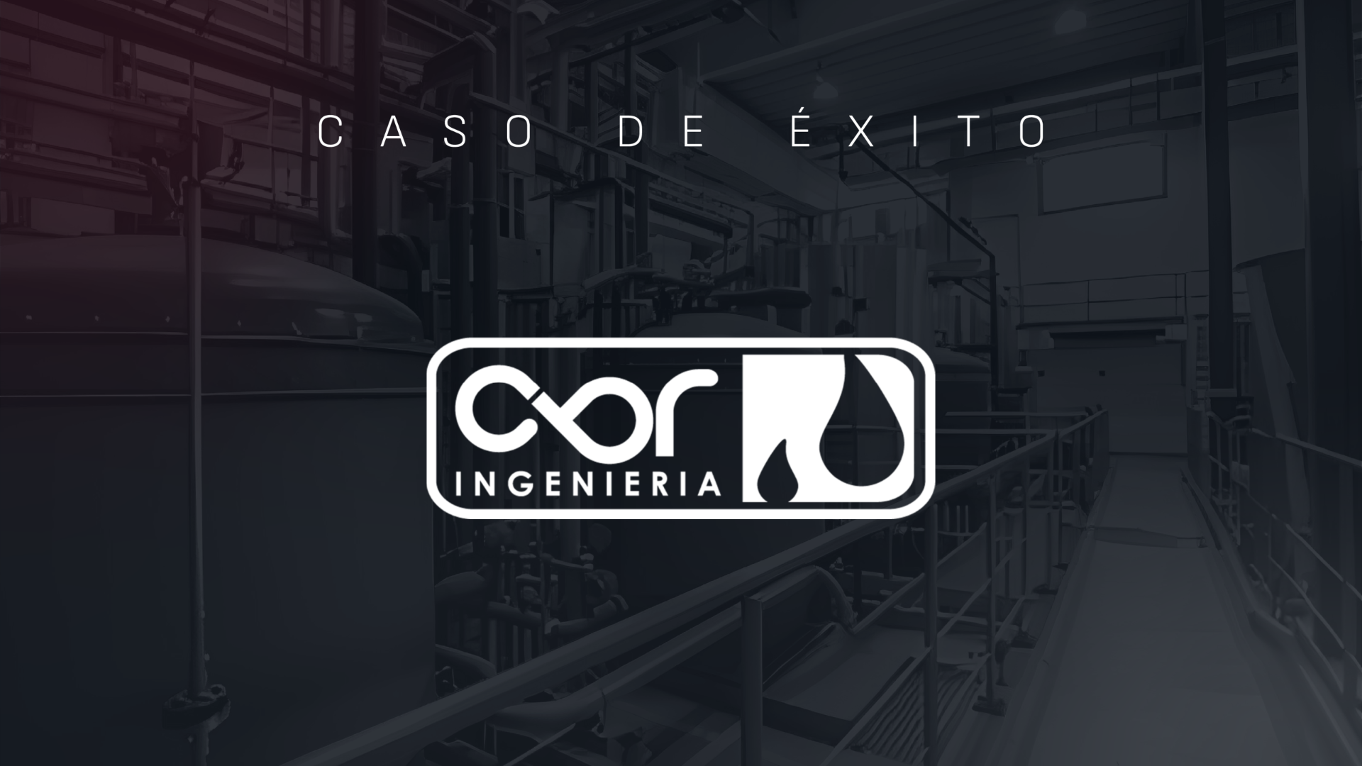Industrial pesado